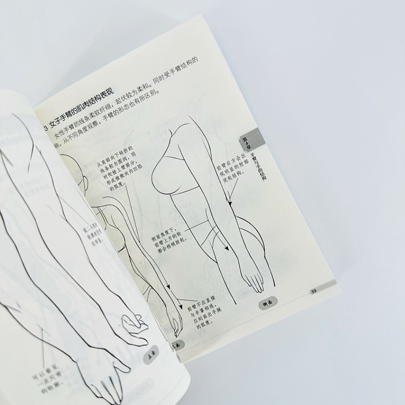 Beginner Manga Drawing Pocket  - Chinese Calligraphy Practice Book review and price