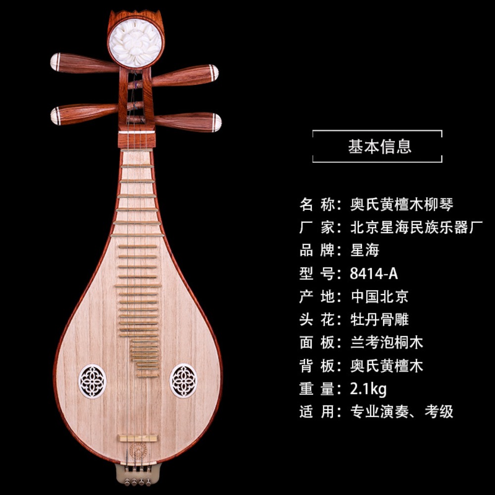 Beijing Xinghai 8414-A Rosewoo - Music review and price