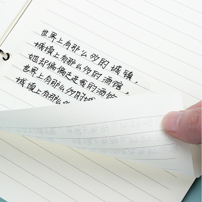 A5 A6 Loose Leaf Notebook Refi - A5 Spiral Dotted Grid Notebook review and price