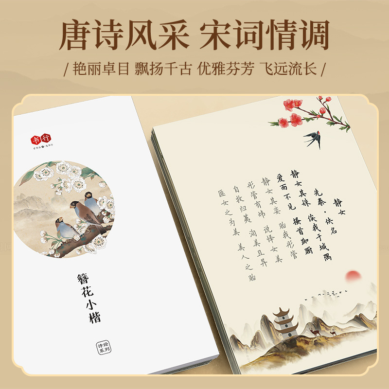 Hairpin Flower Small Kai Calli - Chinese Calligraphy Practice Book review and price