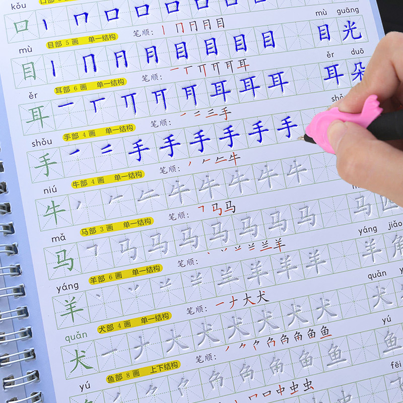 The Copybook Kids Book Learnin - Stationery Books review and price